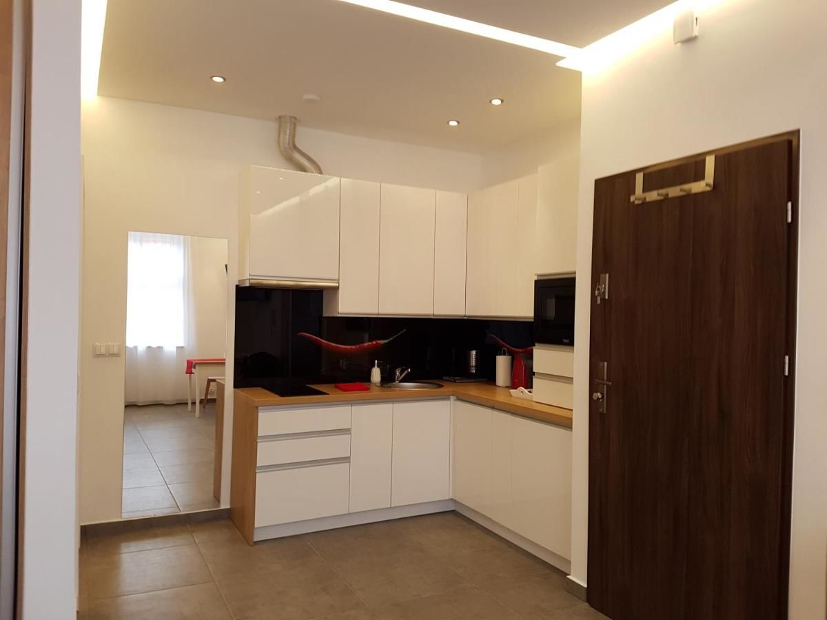 Апартаменты Apartamenty Wierzbowa 5 Познань-30