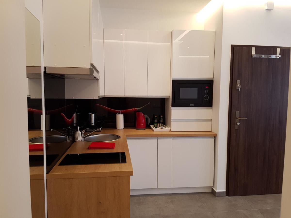 Апартаменты Apartamenty Wierzbowa 5 Познань-40