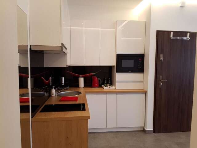 Апартаменты Apartamenty Wierzbowa 5 Познань-39